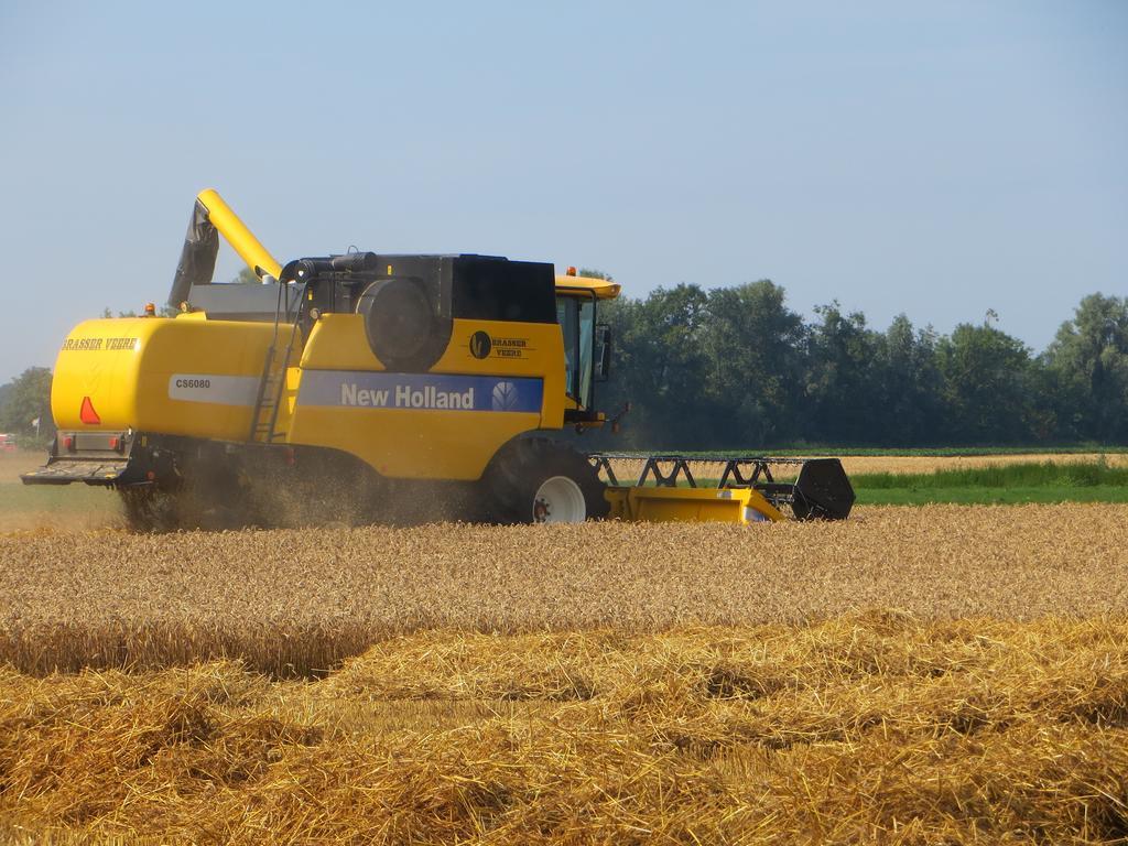 Boerderijcamping Plantlust Veere Cameră foto